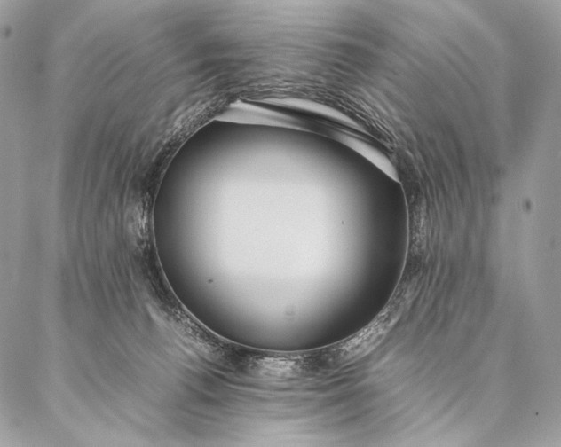 X0000087020176200704301323