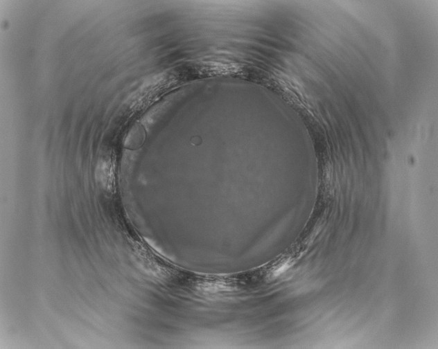 X0000087020177200704301323