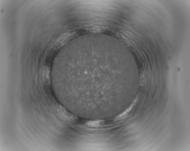 X0000087020178200704301323