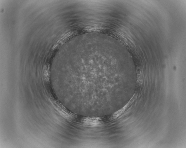 X0000087020179200704301323