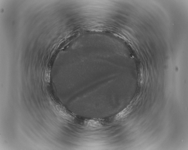 X0000087020180200704301323