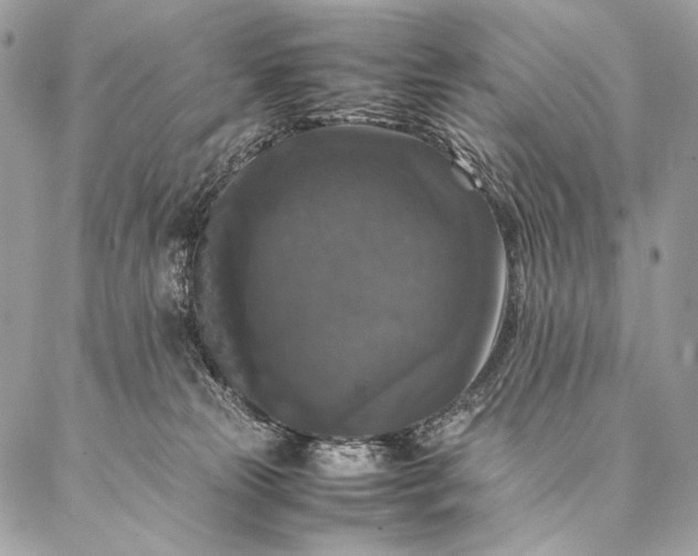 X0000087020181200704301323