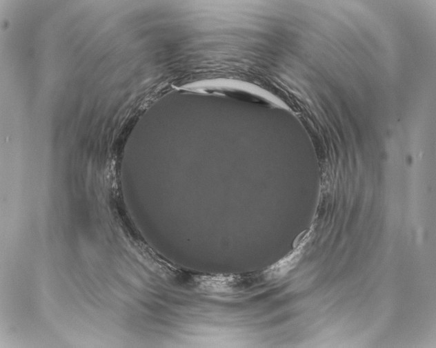 X0000087020182200704301323