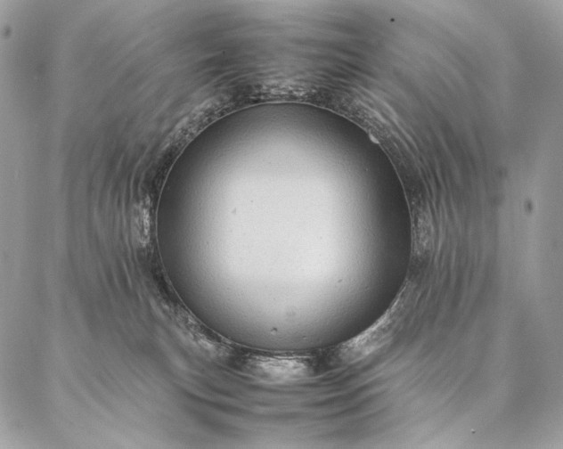 X0000087020183200704301323