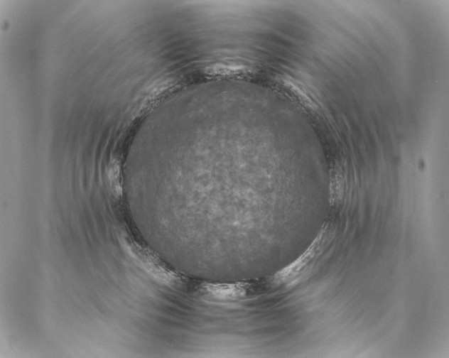 X0000087020187200704301323