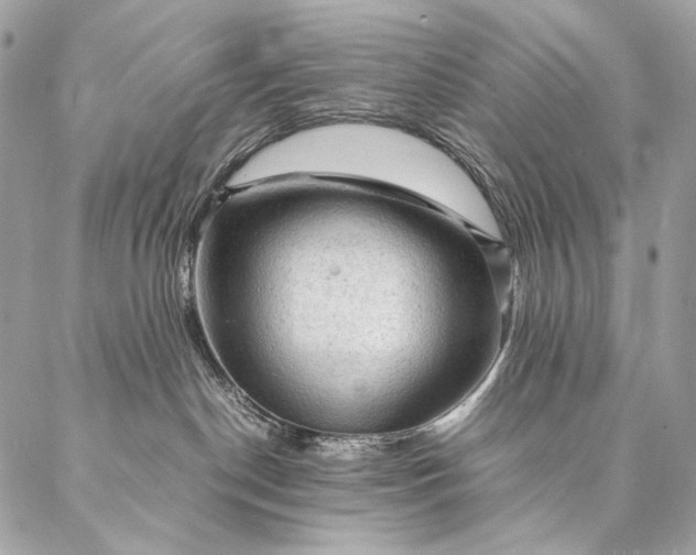 X0000087020190200704301323