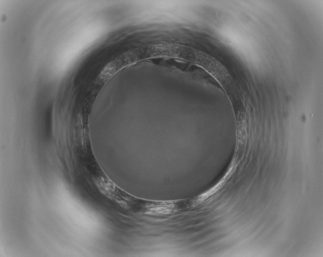 X0000087020191200704301323