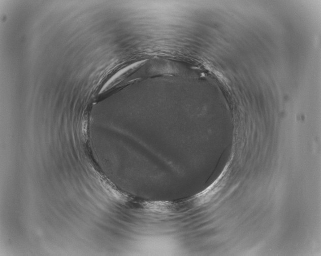 X0000087020192200704301323