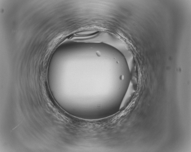 X0000087020193200704301323