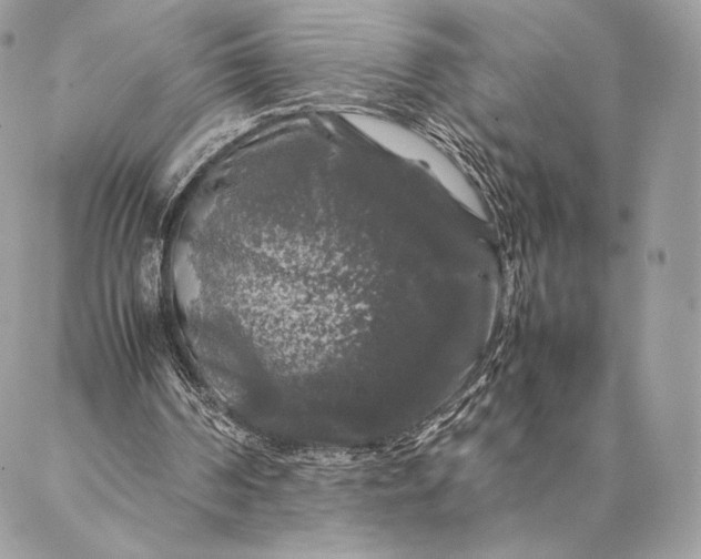 X0000087020194200704301323