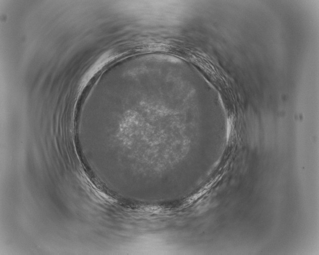 X0000087020195200704301323