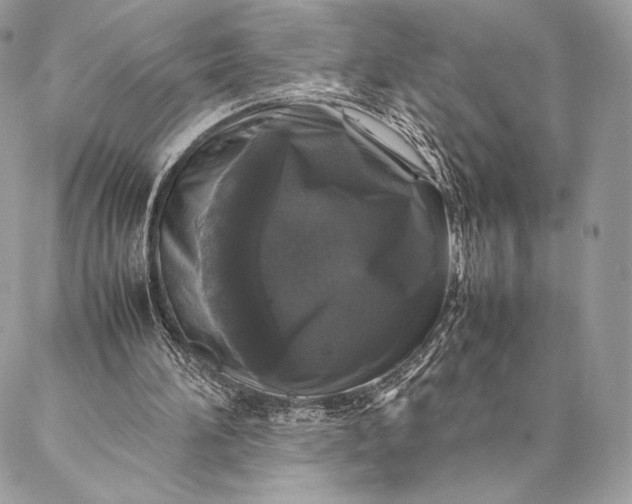 X0000087020196200704301323