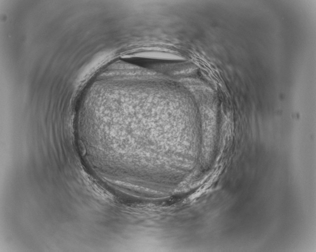 X0000087020197200704301323