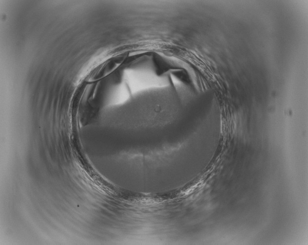 X0000087020198200704301323