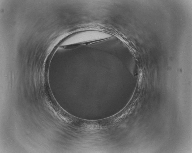 X0000087020200200704301323