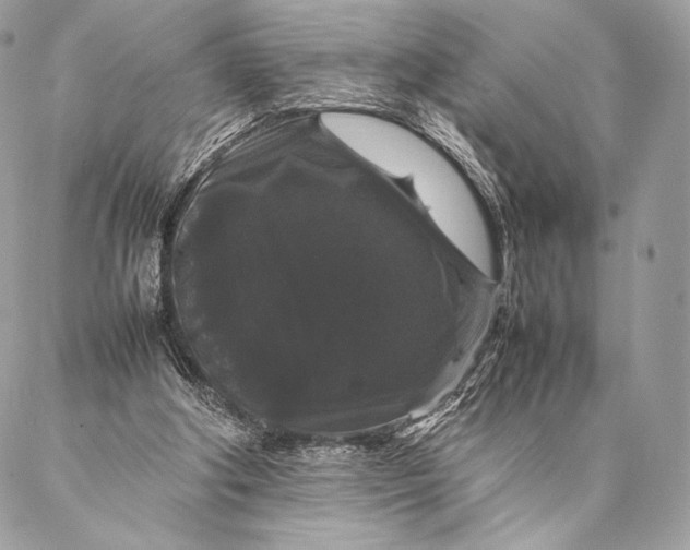 X0000087020202200704301322