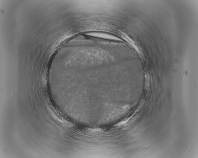 X0000087020203200704301322