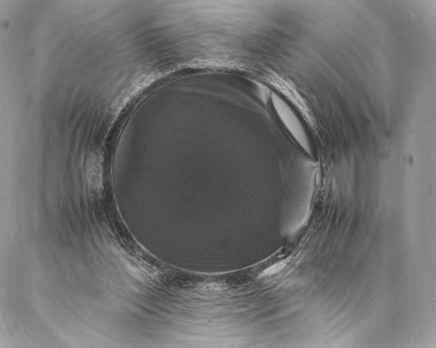 X0000087020204200704301322