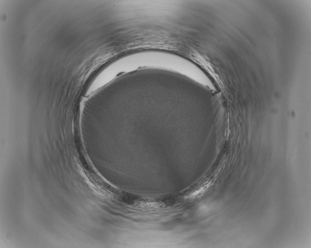 X0000087020205200704301322