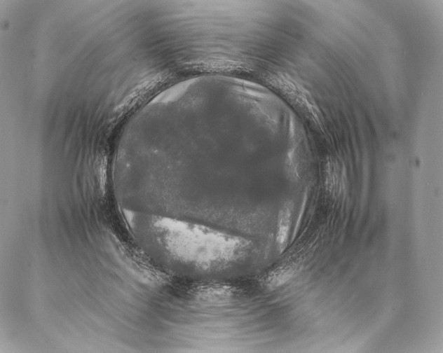 X0000087020206200704301322