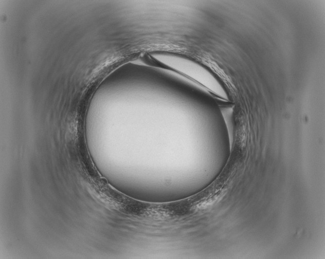 X0000087020207200704301322