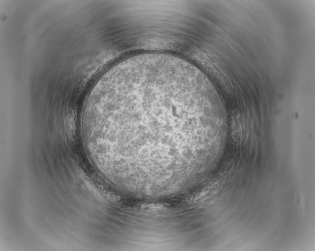 X0000087020208200704301322