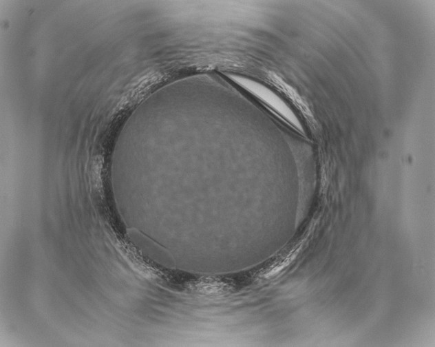 X0000087020209200704301322