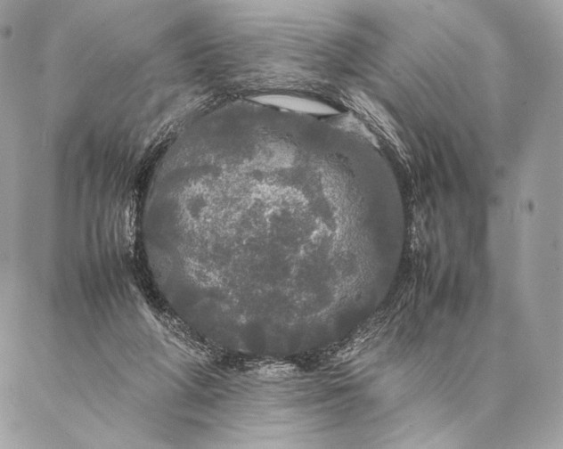 X0000087020210200704301322