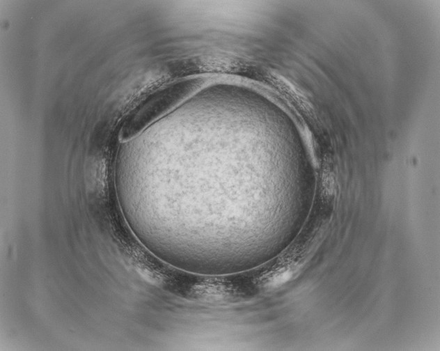 X0000087020211200704301322