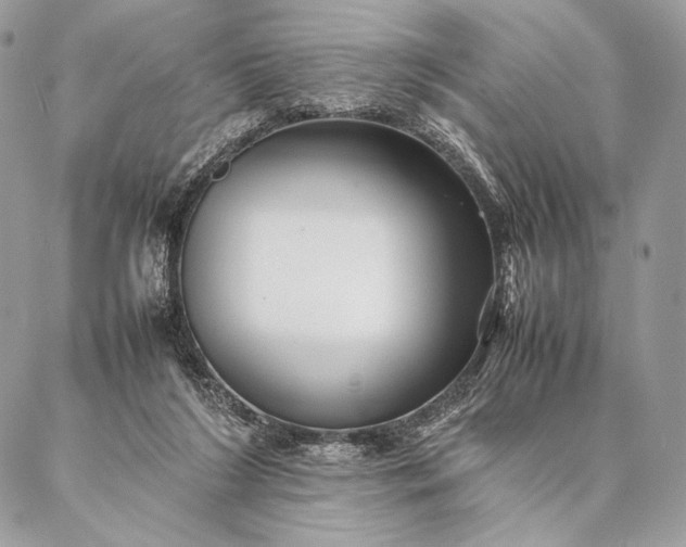 X0000087020212200704301322