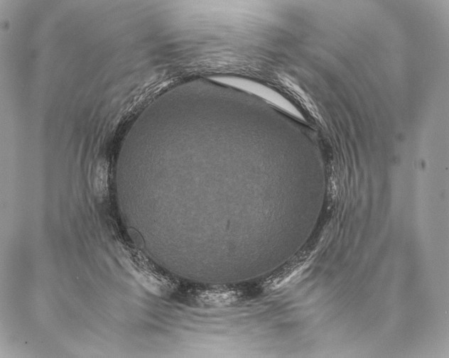 X0000087020213200704301322