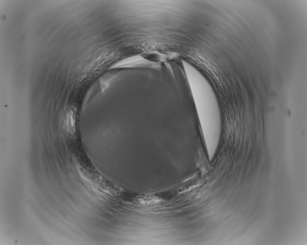 X0000087020214200704301322