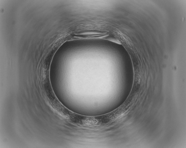 X0000087020215200704301322