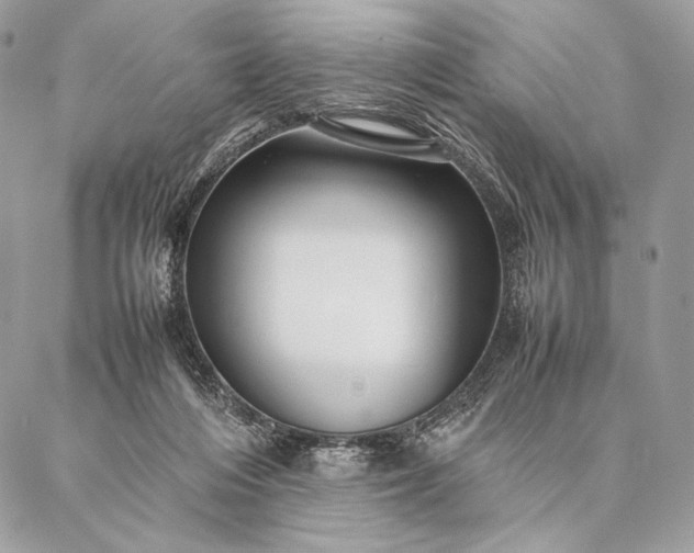 X0000087020216200704301322