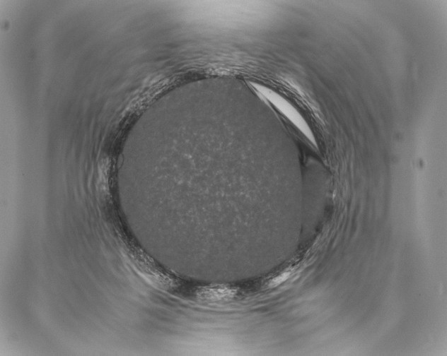 X0000087020217200704301322