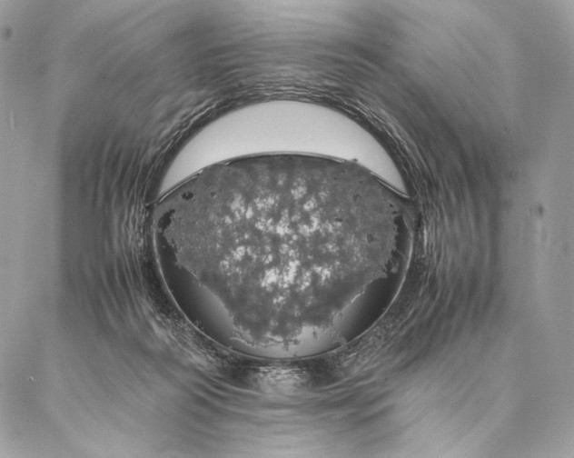 X0000087020218200704301322