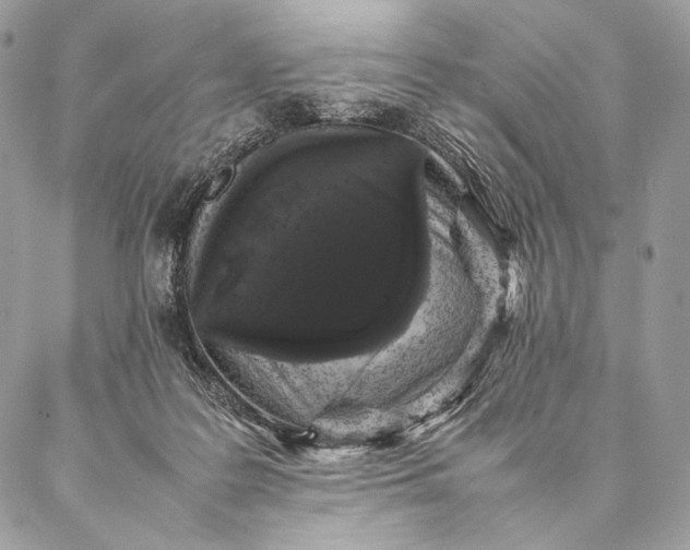 X0000087020219200704301322