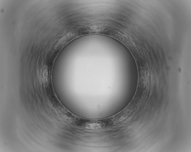 X0000087020220200704301322