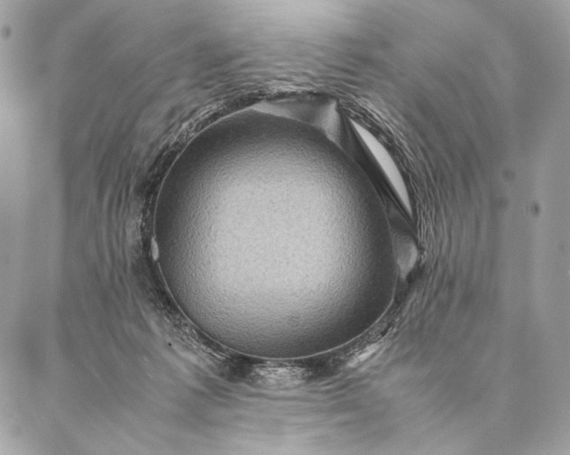 X0000087020221200704301322