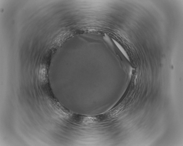 X0000087020222200704301322