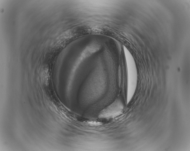 X0000087020223200704301322