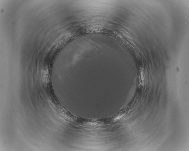 X0000087020224200704301322