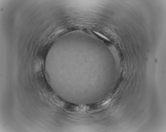 X0000087020225200704301322