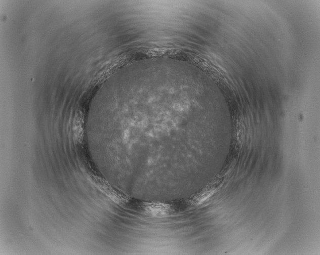 X0000087020226200704301322