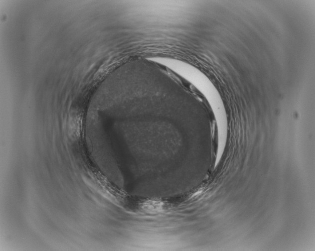 X0000087020227200704301322