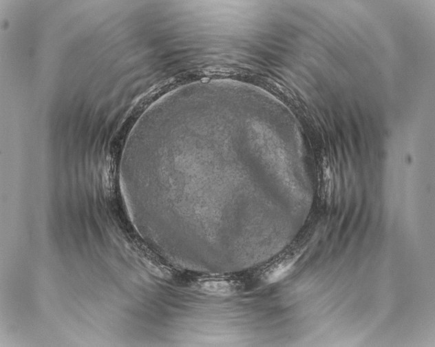 X0000087020228200704301322