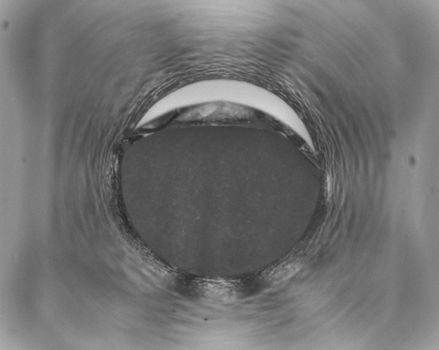 X0000087020229200704301322