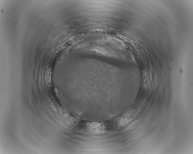 X0000087020230200704301322