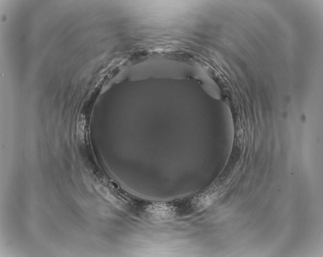 X0000087020231200704301322