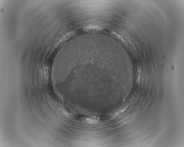 X0000087020232200704301322